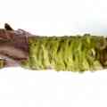 Health Benefits of Wasabi